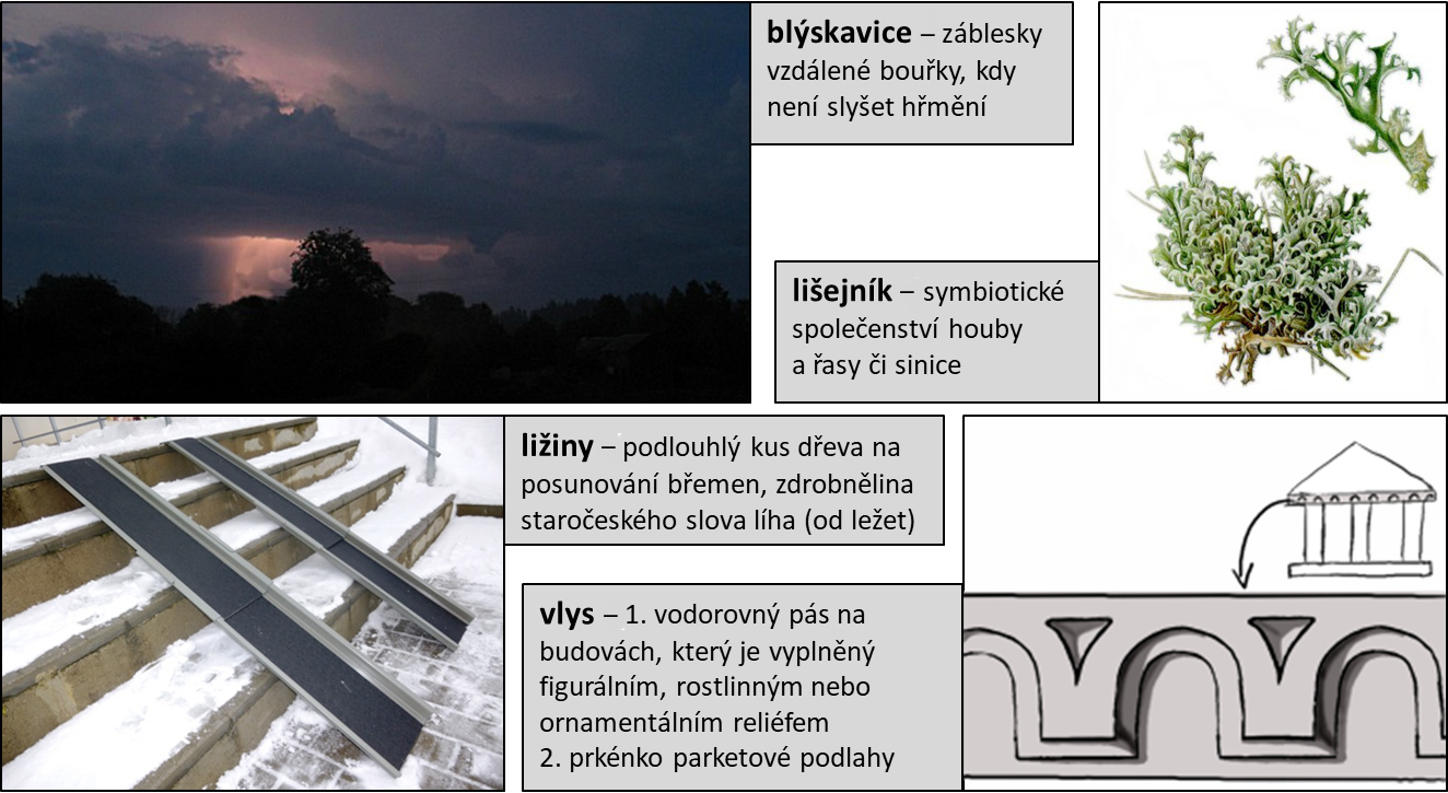 slovnicek l04