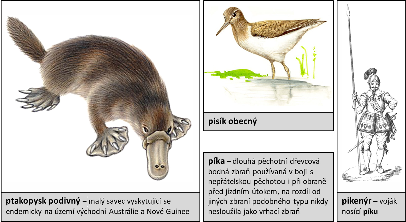 slovnicek p02